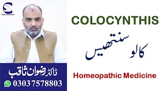 Colocynthis کالوسنتھیس Homeopathic Medicine by Dr Rizwan Saqib in UrduHindi [upl. by Anevad]