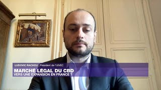 Marché légal du CBD  vers une expansion en France [upl. by Home573]