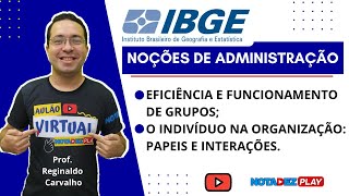 Eficiência e Funcionamento de Grupos  IBGE [upl. by Iramaj]