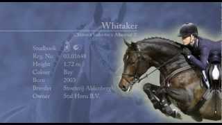 Whitaker  De Wiemselbach  ENG 2012 [upl. by Aihsei]