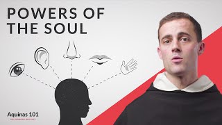 Powers of the Soul A First Look Aquinas 101 [upl. by Naaitsirhc275]