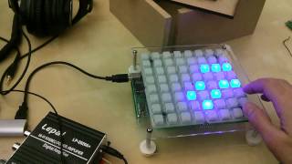 Monome Game of Life Caucophony [upl. by Enilekaj]