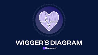 Wiggers Diagram [upl. by Norvil]