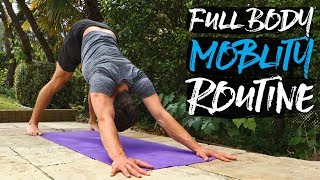 15 Minute Full Body Mobility Routine FOLLOW ALONG [upl. by Gagliano]