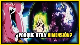 ¿POR QUE GOGETA Y BROLY PELEAN EN OTRA DIMENSIÓN  SUPERIORES A BILLS  NO SPOILER  ANZU361 [upl. by Cressler]