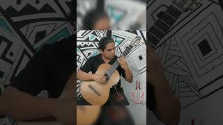 Música del Barroco classicalguitar guitarra musica clasic guitarcover guitar guitarplayer [upl. by Varien171]