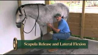 The Basic Scapula Release from Dressage Movements Revealed video [upl. by Silecara101]