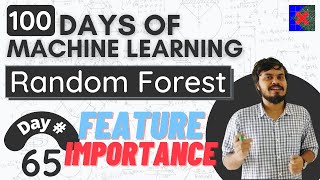 Feature Importance using Random Forest and Decision Trees  How is Feature Importance calculated [upl. by Barbur399]