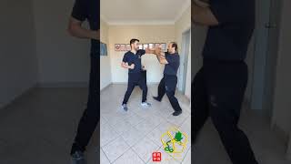 Fragmentos do Ving Tsun  20 kungfu vingtsunkungfu wingchunkungfu martialarts vingtsun [upl. by Guinn]