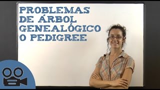 Problemas de árbol genealógico o pedigree [upl. by Dib]