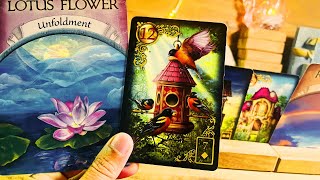 Leo 🍀PEOPLE ARE SHOCKED…HOW IS THIS EVEN POSSIBLE  ♌️Money Tarot [upl. by Tadich]