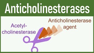 Anticholinesterase Agents Organophosphates amp Carbamates [upl. by Novled]