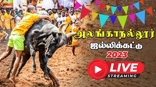 Alanganallur Jallikattu Live 2023  அலங்காநல்லூர் ஜல்லிக்கட்டு நேரலை  Vikatan [upl. by Zat870]