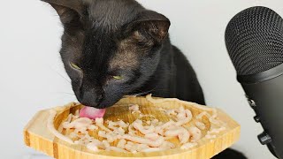 Cat Licking Creamy Treats ASMR [upl. by Okihsoy]