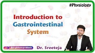 Introduction to Physiology of Gastrointestinal System  USMLE Step 1 [upl. by Kelley]