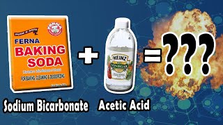 Baking Soda and Vinegar Chemical Reaction EXPERIMENT EXPLAINED [upl. by Cuttler]