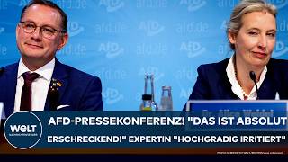 BRANDENBURG AfDPressekonferenz quotDas ist absolut erschreckendquot Expertin quothochgradig irritiertquot [upl. by Nevaed]