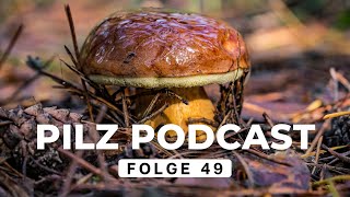 Pilz Podcast Folge 49  Pilze sammeln amp züchten mit derpilzfluesterer drrattenkaiser5275 [upl. by Mandych]