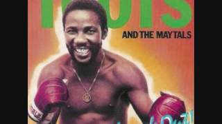 Toots amp The Maytals  Never Get Weary [upl. by Anehsat956]