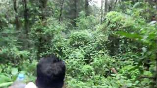 SABARIMALA ERUMELI REAL FOREST JOURNEY [upl. by Laurice11]