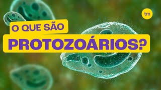 O que são PROTOZOÁRIOS [upl. by Anny497]