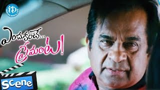 Brahmanandam Nice Comedy Scene  Endukante Premante [upl. by Engapmahc534]