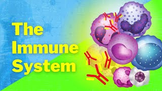 NON SPECIFIC DEFENCE MECHANISM AND INNATE IMMUNITY PART 1 [upl. by Hershel371]