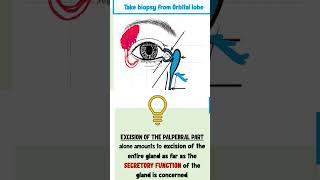 lacrimal apparatus anatomy ophthalmology [upl. by Koser]