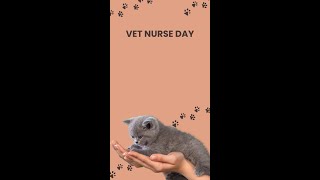 Vet Nurse Day [upl. by Lincoln]