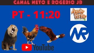 RESULTADO AO VIVO ROGERIO E NETO JB  PTM  17112024 [upl. by Dat]