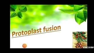 Protoplast Culture  Plant tissue culture  AZ concepts guide [upl. by Stephani]