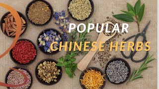 Two Popular Chinese Herbs Explained  Introduction to Traditional Chinese Medicinal Herbs [upl. by Cramer]