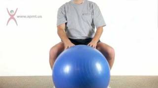 Seated QL Stretch with Theraball wwwapmtus [upl. by Shiau358]