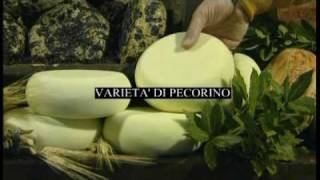 Making and tasting Pecorino cheese in Pienza Tuscany [upl. by Iila495]