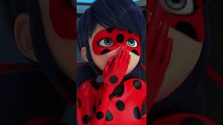 LADYBUG 🐞 Adrien siempre está ahí… aunque sea entre cartones  Disney Channel Oficial [upl. by Volin700]