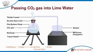 Passing Carbon dioxide Gas into Lime Water [upl. by Yodlem]