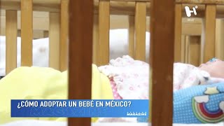 Adopción en México un proceso largo y costoso [upl. by Ehcor377]