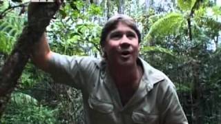 Crocodile Hunter « Die Waldgeister von Madagaskar »  44 [upl. by Copp]