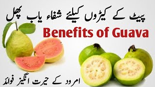 Amrood k Fayde in urdu hindi Amazing benefits of Guava in urdu hindi [upl. by Attener]