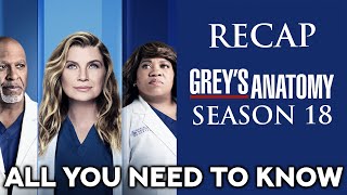 Grey´s Anatomy  Season 18 Recap  All you need to know [upl. by Asiulana736]