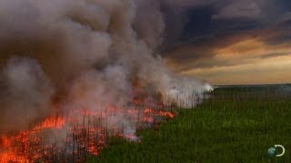 Filming a Raging Forest Fire  North America [upl. by Henson]