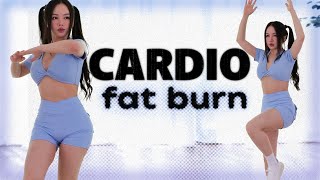 20 min Cardio Workout for Fat Burn  no lunges no repeats [upl. by Lynett453]