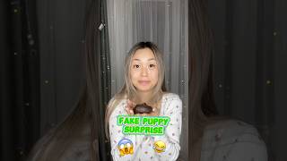 FAKE PUPPY SURPRISE shorts iribabyworld prank [upl. by Aikaj]