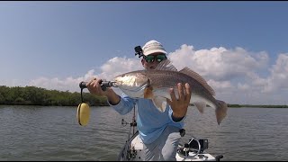 Mosquito Lagoon Fishing Report 8172024 [upl. by Grantham]