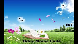 Genesis chapter 31 of 50  BibleMorseCode [upl. by Bolt]