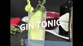 Gin Tonic Rezept [upl. by Dehsar672]