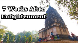 7 Weeks After Enlightenment  སངས་རྒྱས་པའི་རྗེས་སུ་བདུན་ཕྲག་བདུན་གྱི་རིང་ལ་ཆོས་མ་གསུངས་བར་བཞུགས་པ། [upl. by Eiramanin]