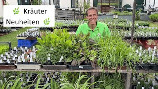 Spannende KräuterNeuheiten für Garten amp Balkon 🌿ColaStrauch Eibisch Olivenkraut amp IngwerMinze [upl. by Wheaton]