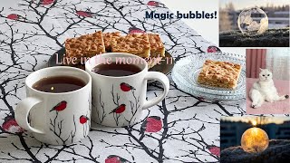 Home routine  Baking cookies  Magic experiment  Freezing soap bubbles [upl. by Zorana319]