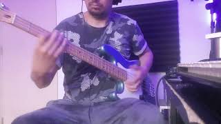 Snoop Dogg  Gz and Hustlas Bass Cover [upl. by Aiduan]